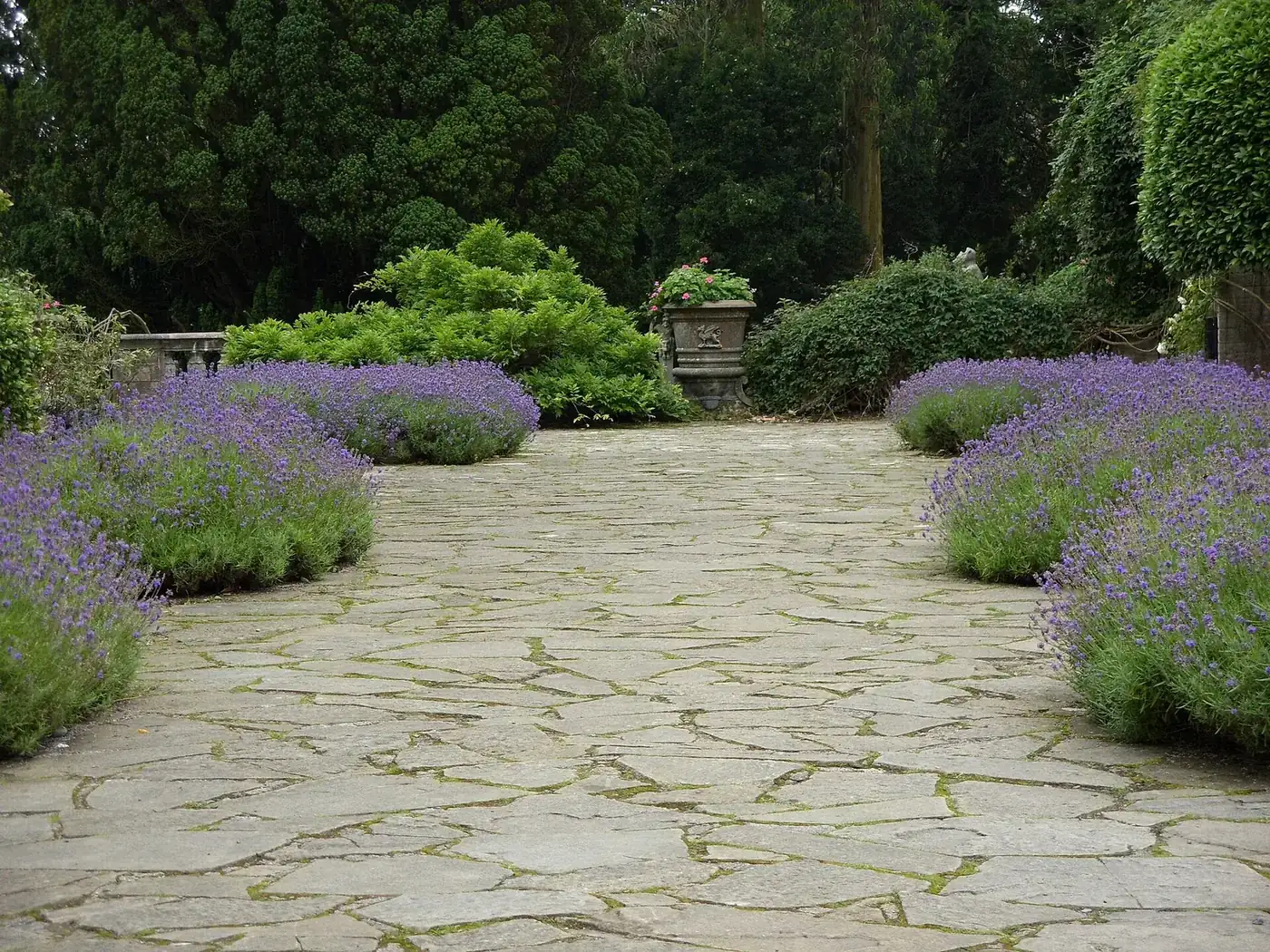 Garden landscaping with paved paths and planting